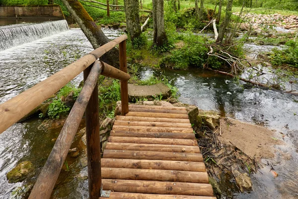Nowoczesny Drewniany Most Promenada Chodnik Przez Rzekę Parku Leśnym Wiosna — Zdjęcie stockowe