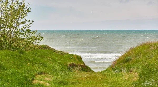 Берег Балтийского Моря Солнечный День Песчаные Дюны Дюна Травы Живописный — стоковое фото