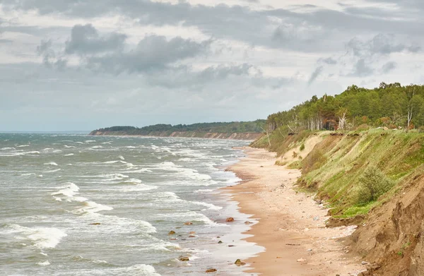 Baltic Sea Shore Sunny Day Sand Dunes Dune Grass Picturesque — Stockfoto