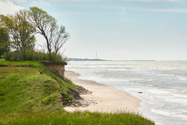 Östersjön Stranden Solig Dag Sanddyner Sandgräs Ensamma Träd Blå Himmel — Stockfoto