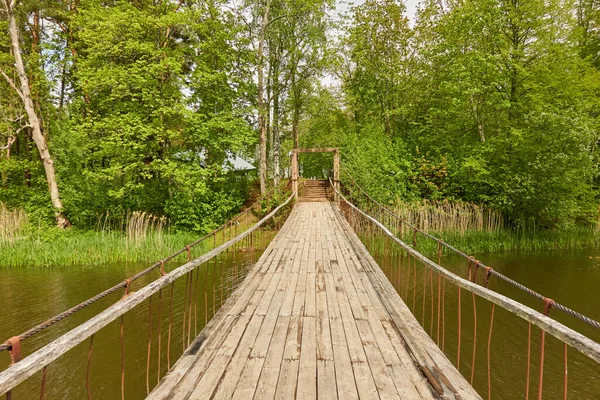 Fiume Parco Verde Della Foresta Moderno Ponte Legno Passerella Lettonia — Foto Stock