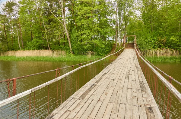 Fiume Parco Verde Della Foresta Moderno Ponte Legno Passerella Lettonia — Foto Stock