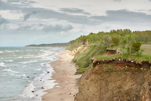 Baltic Sea Shore Sunny Day Sand Dunes Dune Grass Picturesque Stock Photo