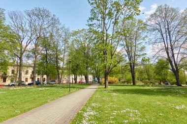 Şehir parkında çimenlik. Güneşli bir yaz günü. Doğa, ekoloji, çevre koruma, dinlenme alanı, kamusal alanlar, peyzaj tasarımı