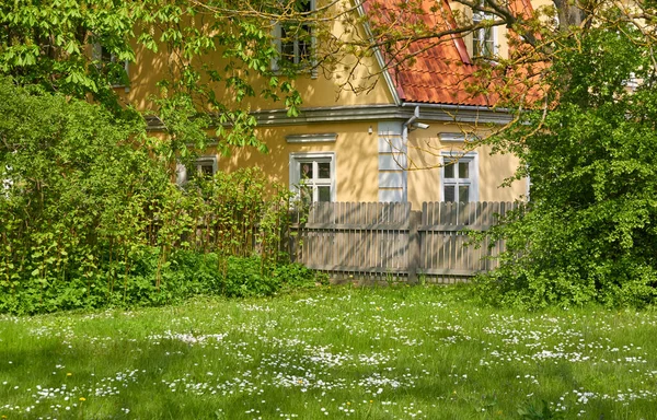 Blooming Lawn City Park Traditional Country House Background Sunny Summer — Stock Photo, Image