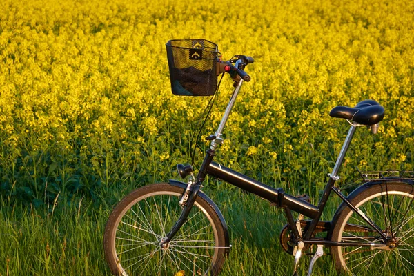 Bicicletta Parcheggiata Sulla Strada Campagna Vicino Campo Colza Fiore Fiori — Foto Stock