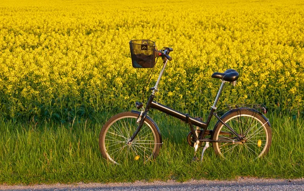 自行车停在靠近盛开的菜籽田边的乡间路上 黄色的花田园诗般的乡村风景 健康生活方式主题 — 图库照片