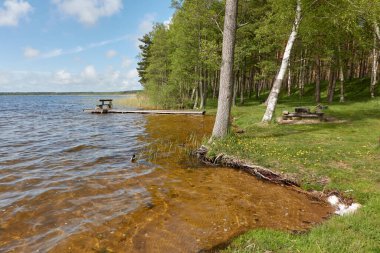 Görkemli bir orman parkında kamp alanı. Busnieku Gölü, Ventspils, Letonya. Ahşap iskele. Masa ve bank. İlkbahar, yazın başı. Doğa, tatil, yürüyüş, tekne gezisi, spor, eğlence.
