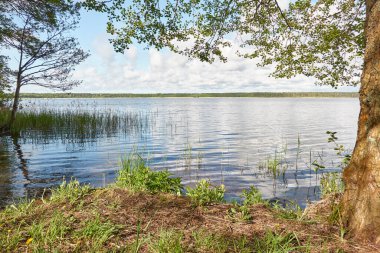 Orman gölünde bir ada (nehir). Yağmurlu bir gün. Sudaki yansımalar. Mavi gökyüzü, parlayan bulutlar. Idyllic manzara. Saf doğa, ekoloji, ekolojik rezerv, eko-turizm.