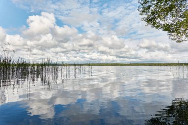 Kristal berrak bir orman gölü (nehir) kıyısından panoramik manzara. Idyllic manzara. İlkbahar, yazın başı. Doğa, çevre, ekoloji, eko-turizm, yürüyüş, tatiller, yüzme ve rahatlatıcı temalar