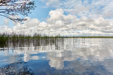 Kristal berrak bir orman gölü (nehir) kıyısından panoramik manzara. Idyllic manzara. İlkbahar, yazın başı. Doğa, çevre, ekoloji, eko-turizm, yürüyüş, tatiller, yüzme ve rahatlatıcı temalar