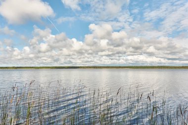 Kristal berrak bir orman gölü (nehir) kıyısından panoramik manzara. Idyllic manzara. İlkbahar, yazın başı. Doğa, çevre, ekoloji, eko-turizm, yürüyüş, tatiller, yüzme ve rahatlatıcı temalar
