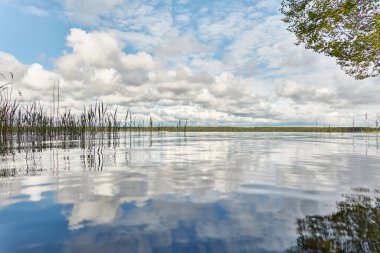 Kristal berrak bir orman gölü (nehir) kıyısından panoramik manzara. Idyllic manzara. İlkbahar, yazın başı. Doğa, çevre, ekoloji, eko-turizm, yürüyüş, tatiller, yüzme ve rahatlatıcı temalar