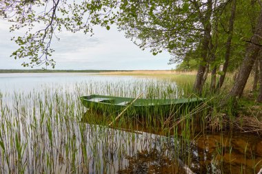 Orman gölüne demir atmış küçük yeşil bir tekne. İskandinavya. Ulaşım, geleneksel zanaat, eğlence, boş zaman aktivitesi, sağlıklı yaşam tarzı, yerel turizm, spor, kürek çekme, yürüyüş, yaz tatilleri temaları