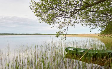 Orman gölüne demir atmış küçük yeşil bir tekne. İskandinavya. Ulaşım, geleneksel zanaat, eğlence, boş zaman aktivitesi, sağlıklı yaşam tarzı, yerel turizm, spor, kürek çekme, yürüyüş, yaz tatilleri temaları
