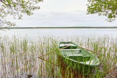 Orman gölüne demir atmış küçük yeşil bir tekne. İskandinavya. Ulaşım, geleneksel zanaat, eğlence, boş zaman aktivitesi, sağlıklı yaşam tarzı, yerel turizm, spor, kürek çekme, yürüyüş, yaz tatilleri temaları
