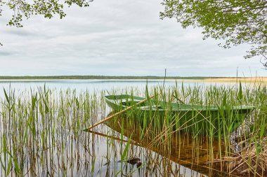 Orman gölüne demir atmış küçük yeşil bir tekne. İskandinavya. Ulaşım, geleneksel zanaat, eğlence, boş zaman aktivitesi, sağlıklı yaşam tarzı, yerel turizm, spor, kürek çekme, yürüyüş, yaz tatilleri temaları