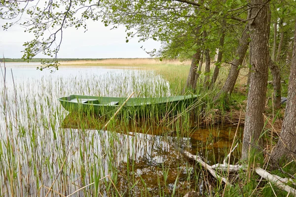 Petit Bateau Vert Ancré Dans Lac Forestier Scandinavie Transport Artisanat — Photo