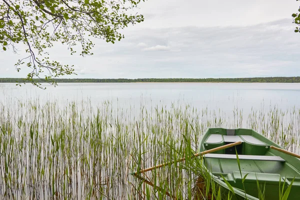 Kleine Groene Boot Verankerd Bos Meer Scandinavië Vervoer Traditionele Ambacht — Stockfoto