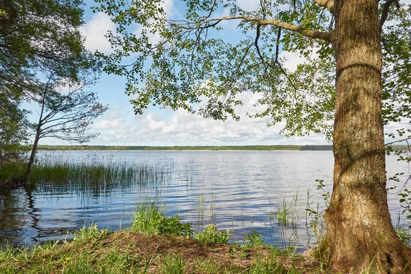 Isla Lago Forestal Río Día Lluvioso Reflejos Agua Cielo Azul Imagen De Stock