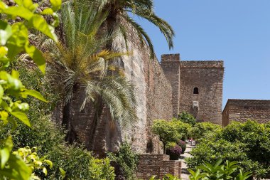 zamka.granada yakın bitki örtüsü.