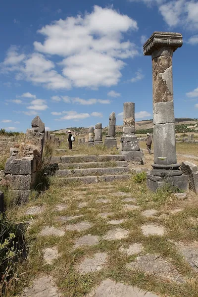 Antik kentin kalıntıları. Volubilis.