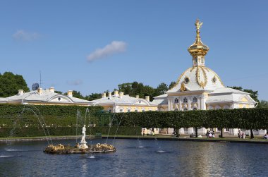 üst parke içinde. petergof.