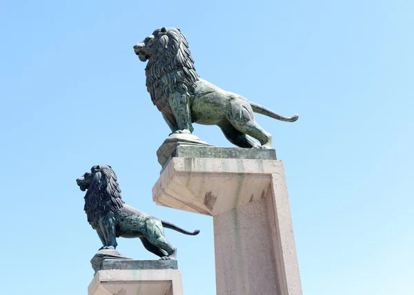 Lvi na sloupcích kamenného mostu. Zaragoza. — Stock fotografie