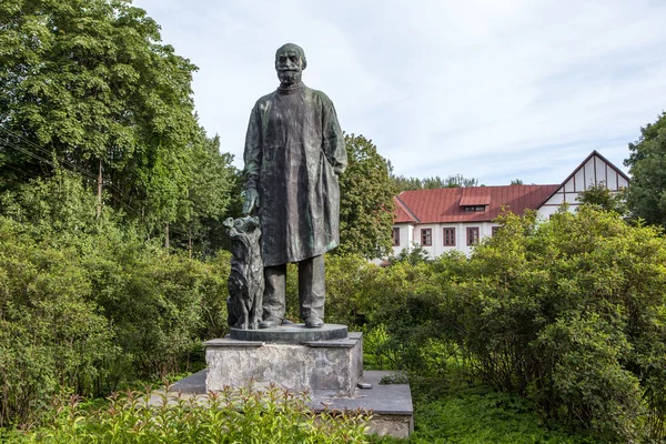 Pavlova, Federacja Rosyjska. Pomnik psa Pawłowa. — Zdjęcie stockowe