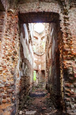 Potemkin 'in sarayının kalıntıları. İçeriden. Gostilitsa Malikanesi. Gostilitsy köyü. Lomonosov bölgesi. Leningrad bölgesi. - Rusya. 14 Ağustos 2021