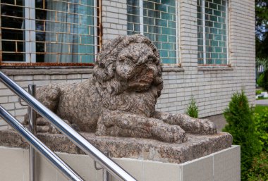 Yönetim binasının önündeki antik granit aslan. Lopukhinka köyü. Lomonosov bölgesi. Leningrad bölgesi. - Rusya. 14 Ağustos 2021
