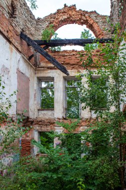 Lopukhinka malikanesinin kalıntıları. İçeriden. Lopukhinka köyü. Lomonosov bölgesi. Leningrad bölgesi. - Rusya. 14 Ağustos 2021