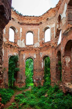 Potemkin 'in sarayının kalıntıları. İçeriden. Gostilitsa Malikanesi. Gostilitsy köyü. Lomonosov bölgesi. Leningrad bölgesi. - Rusya. 14 Ağustos 2021