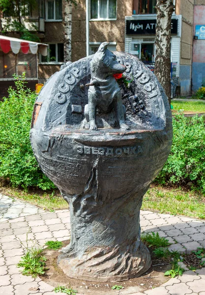 Sculpture Those Who Paved Way Space Astronaut Dog Zvezdochka Izhevsk — стоковое фото