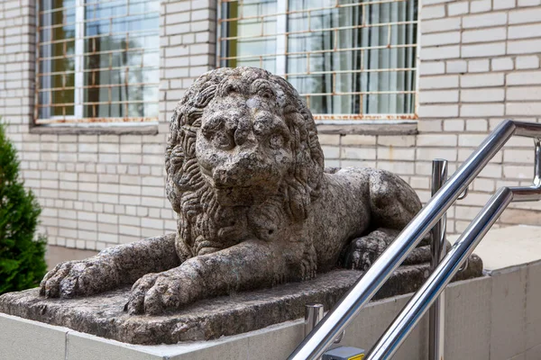 Αρχαίο Λιοντάρι Γρανίτη Μπροστά Από Κτίριο Διοίκησης Χωριό Λοπουκίνκα Περιφέρεια — Φωτογραφία Αρχείου