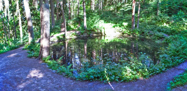 20世紀初頭のヴィラリノの公園内の絵のような丸い池 生態系の歩道コマルスキー ベレグ リゾートエリア サンクトペテルブルク ロシアだ 2021年7月3日 — ストック写真