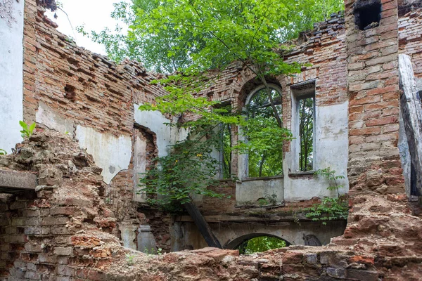 Ruins Lopukhinka Estate View Lopukhinka Village Lomonosov District Leningrad Region — Foto Stock