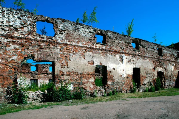 Wall Old Cathedral Vyborg Leningrad Region Russia August 2021 — Stock Photo, Image