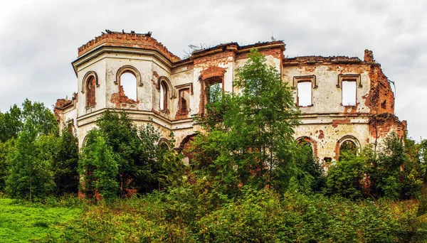 Ruinas Del Palacio Potemkin Mansión Gostilitsa Pueblo Gostilitsy Distrito Lomonosov — Foto de Stock