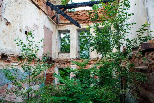 Ruínas Propriedade Lopukhinka Vista Interior Aldeia Lopukhinka Distrito Lomonosov Região — Fotografia de Stock