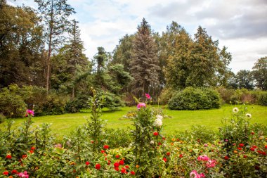 Bogoroditsk şehrinin çevresi ve cazibesi. Bogoroditsk Sarayı ve park topluluğu. Bogoroditsk. Tula bölgesi. - Rusya. 3 Eylül 2021