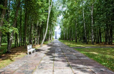 Dmitry Donskoy 'un anıt sütununa giden pitoresk bir sokak. Ivanovo köyü. Kurkinsky bölgesi. Tula bölgesi. - Rusya. 3 Eylül 2021