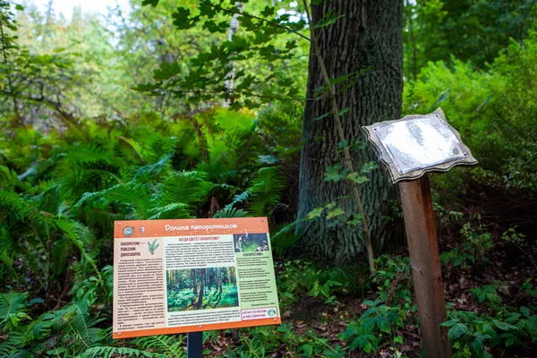 Eğreltiotu Vadisi Siverskaya ekolojik yolu ya da Yaşam Okulu 'nun yolu. Yerleşim yeri Siversky. Gatchina bölgesi. Leningrad bölgesi. - Rusya. 28 Ağustos 2021
