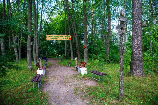 Chemin Écologique Siverskaya Chemin École Vie Établissement Siversky Région Gatchina — Photo