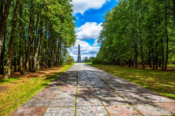 Живописная Аллея Памятнику Колонне Дмитрия Донского Село Иваново Куркинский Район — стоковое фото