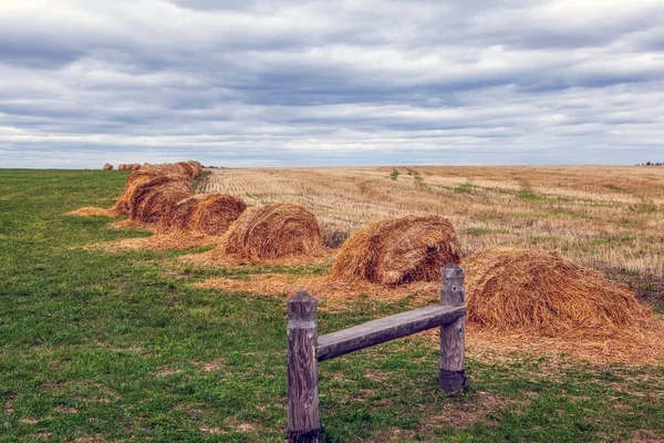 Haystacks Stretching Horizon Village Mokhovoe Kurkinsky District Tula Region Russia — Foto Stock