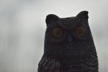 Karanlık cadılar bayramı baykuşu heykeli yakın plan.