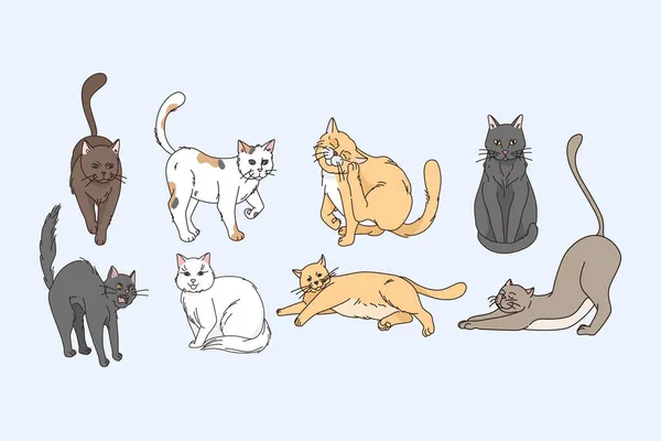 Různorodost kočky zvířat koncept — Stockový vektor
