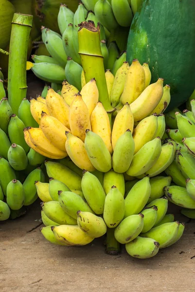 Bunch of bananas Stock Picture