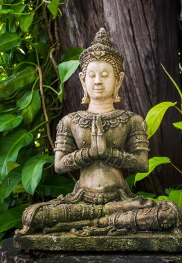 konsensüs görüntü olduğunu basın el birlikte göğüs veya saygı içinde alın